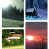 collage-1472493205241