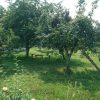 img-20160901-wa0010
