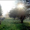 img_20161121_192000