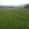 20140523_183822