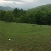 vid-20170115-wa0021_2667