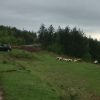 vid-20170115-wa0021_9567