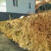 vid-20170119-wa0008_10419