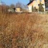 vid-20170119-wa0008_7442