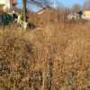 vid-20170119-wa0008_8798