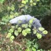 vid-20170128-wa0044_76058