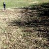 IMG_20170416_142212