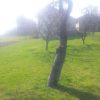 IMG-20171127-WA0005